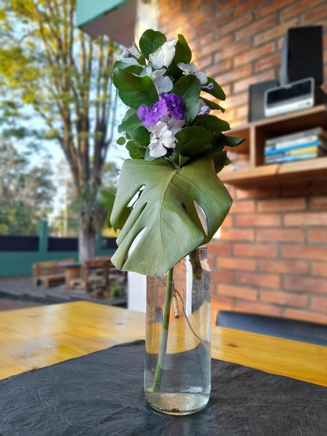 Eco Hostel Iguazu Puerto Iguazú Eksteriør billede